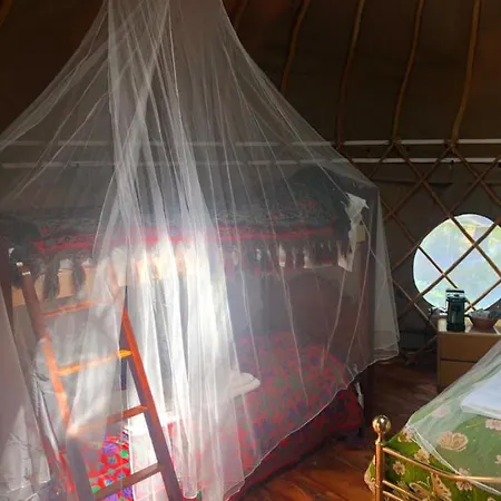 Luxusní stan Romantic Treehouse Yurt In Nature Reserve With Jacuzzi *