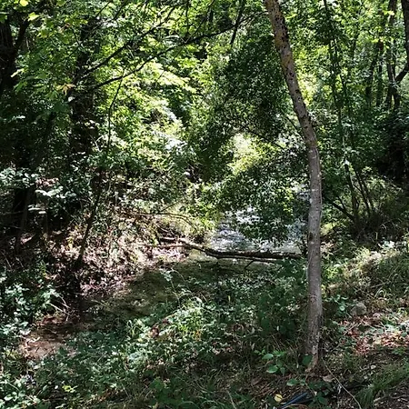 Romantic Treehouse Yurt In Nature Reserve With Jacuzzi خيمة فخمة *