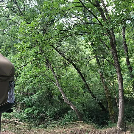 Romantic Treehouse Yurt In Nature Reserve With Jacuzzi