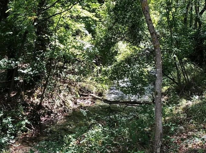 Romantic Treehouse Yurt In Nature Reserve With Jacuzzi Luxuszelt *