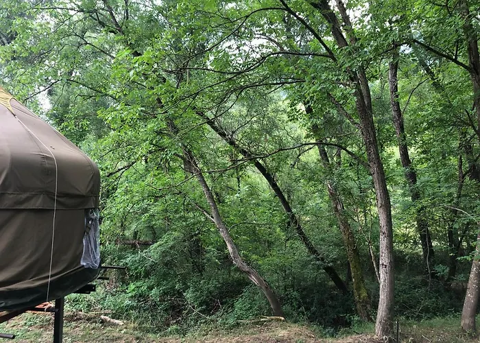 Romantic Treehouse Yurt In Nature Reserve With Jacuzzi